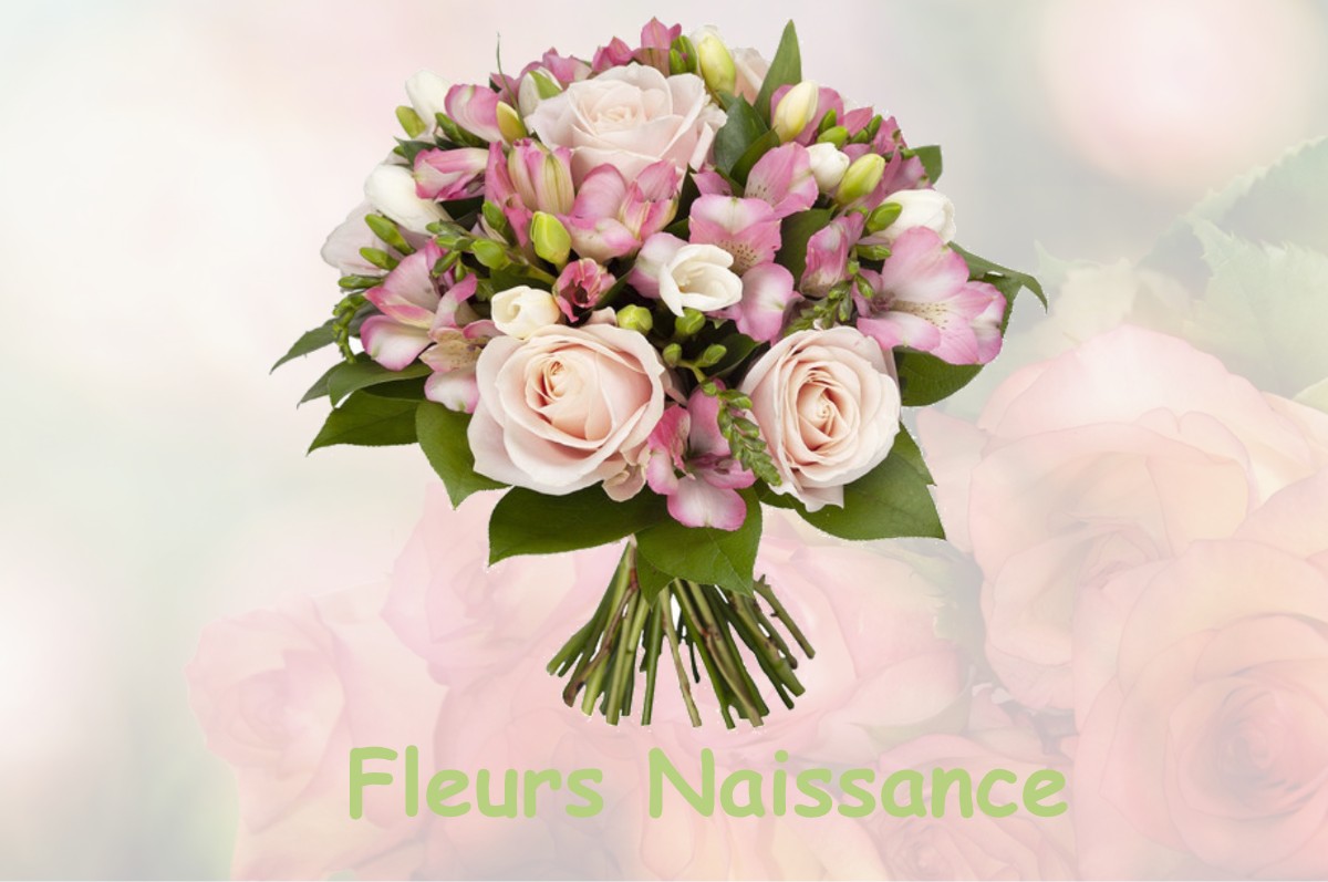 fleurs naissance L-ISLE-EN-DODON