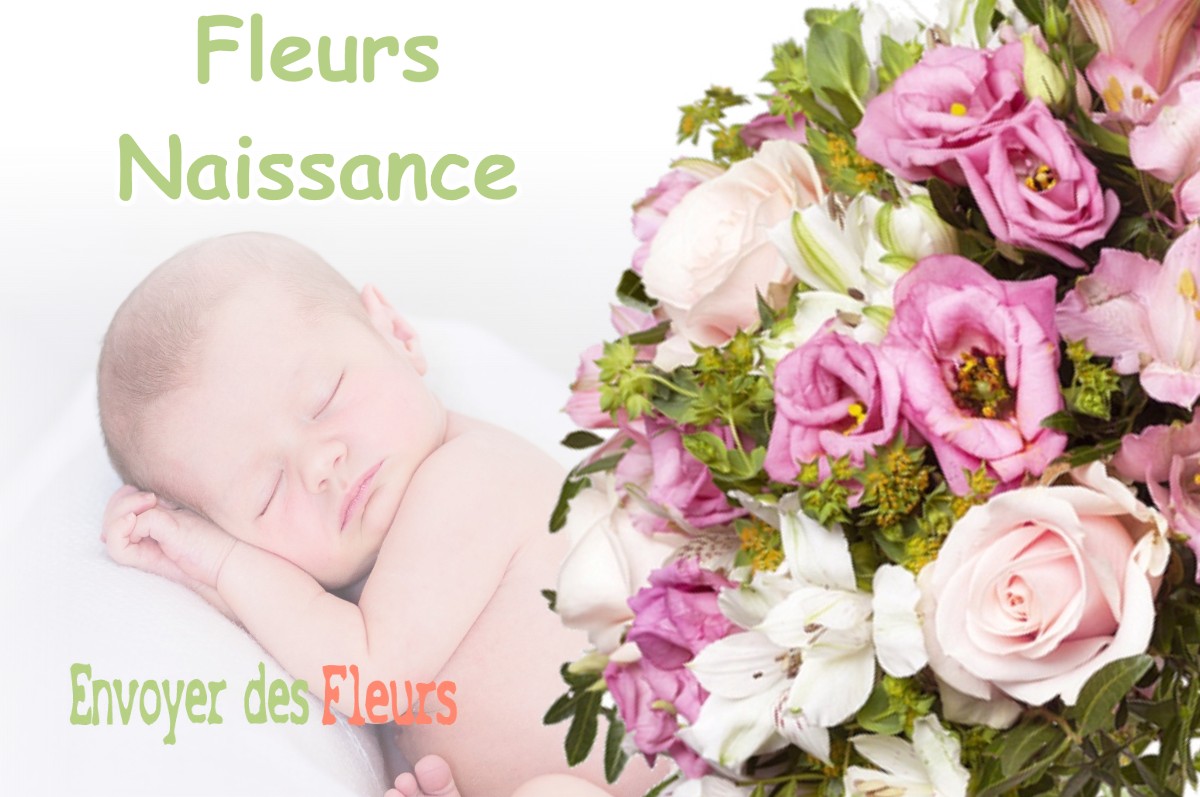 lIVRAISON FLEURS NAISSANCE à L-ISLE-EN-DODON